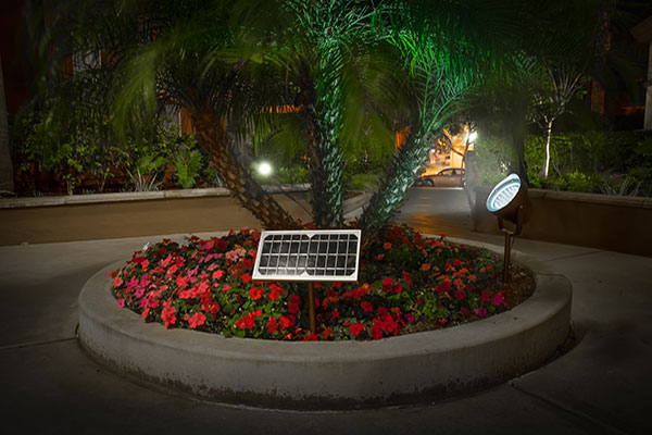 Eagle Solar Spotlight The Patriot, Solar Spot Lights For Palm Trees