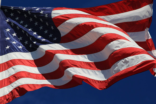 Download Polyextra (Heavy-Duty) American Flag 3x5 - The Patriot ...